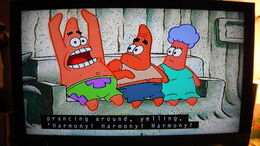 Harmony! Harmony! Harmony! closed-captions error