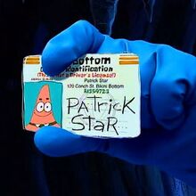Patrick Star Encyclopedia Spongebobia Fandom