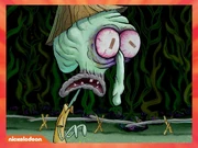 Ditto, but up close.