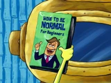 How to Be Normal for Beginners