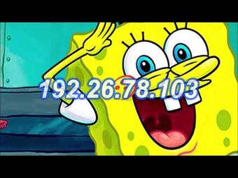 List of SpongeBob SquarePants Internet phenomena/Miscellaneous, Encyclopedia SpongeBobia