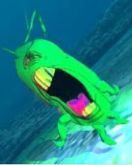 Plankton Knows