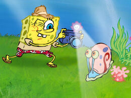 Spongebob-summervaca-fb-4x3-9