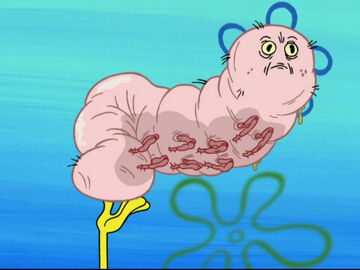 Puffy Fluffy, Encyclopedia SpongeBobia