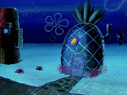 SpongeBob's house is missing one of the windows in "Sandy's Rocket."