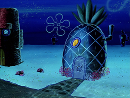 SpongeBob's house is missing one of the windows.