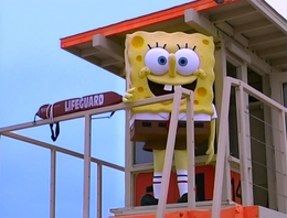 SpongeGuard on Duty 025