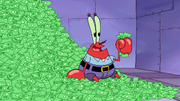 Safe Deposit Krabs 096