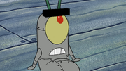 Plankton Retires 178