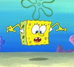 Invisible lower half