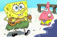 Spongeysummer