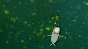 Plankton. A Thank You Would Be Nice. 21