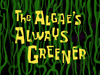 The Algae's Always Greener title card.png