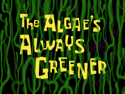 The Algae's Always Greener