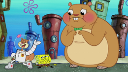 Cuddle E. Hugs' missing hat.