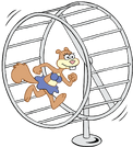 Sandy On Hamster Wheel