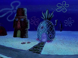 Suds 001