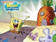 Bob mainimage.jpg (23 KB)