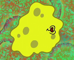 Amoeba 2