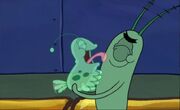 Plankton's Pet.jpg