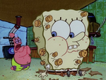 Suds 3
