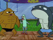 MuscleBob BuffPants 100