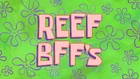 Reef BFF's 002