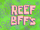 Reef BFF's