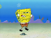 To SquarePants or Not to SquarePants 091