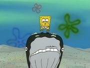 SpongeBob standing on top of Frank.
