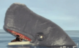 Live-ActionWhale