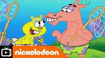 Spongebob squarepants squirrel jelly full episode sale