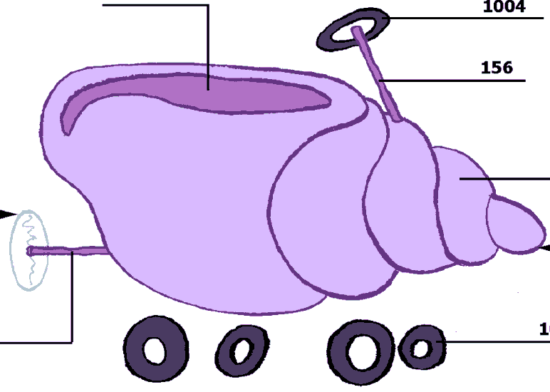 Shell-Cart | Encyclopedia SpongeBobia | Fandom