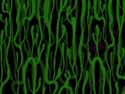 "12:00 midnight" time card background.