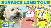 Surface Land Tour 🏝️ SPONGEBOB'S BIG BIRTHDAY BLOW OUT 🎉 SpongeBob