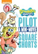 The Pilot, A Mini Movie & The SquareShorts