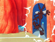 The Coyote crashes into the rock.