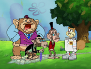 Chimps Ahoy 166