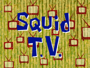 SB704 Squid TV