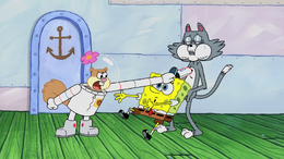 Kenny the Cat 187.png