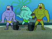 MuscleBob BuffPants 082