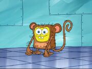 TestMonkey.jpg