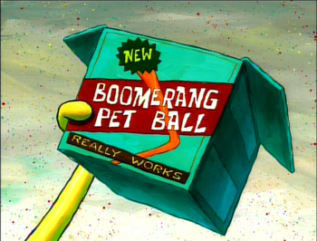 Boomerang Pet Ball