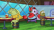 Plankton Paranoia 078