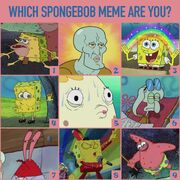 Which meme are you