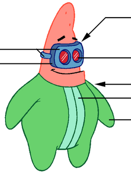 Patrick Star, Encyclopedia SpongeBobia