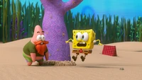 SpongeBob is surprised that Patrick stole the beard.