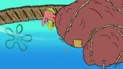 Moving Bubble Bass 158