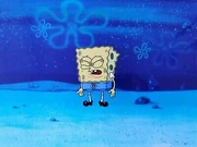 8E6BB19B-EDF3-4598-AC2C-A16BFEF4F1C3.jpeg (29 KB)