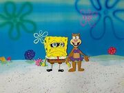Nickelodeon-TV-SpongeBob-Sponge-Bob-Animation-Art-Production (1)